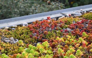 the cost of Swaton green roof installation