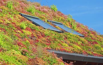 Swaton living roof systems